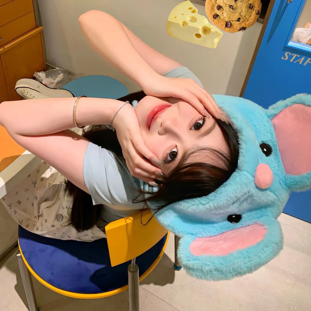 海葵