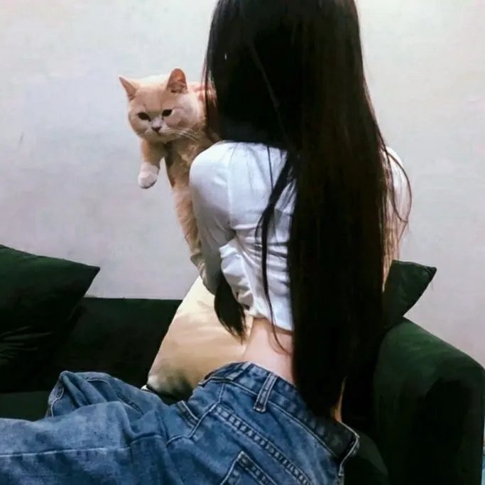 新婚之夜